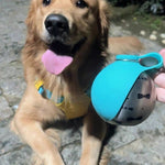 Foldable, High-Capacity, Portable Water Dispenser for Cats and Dogs